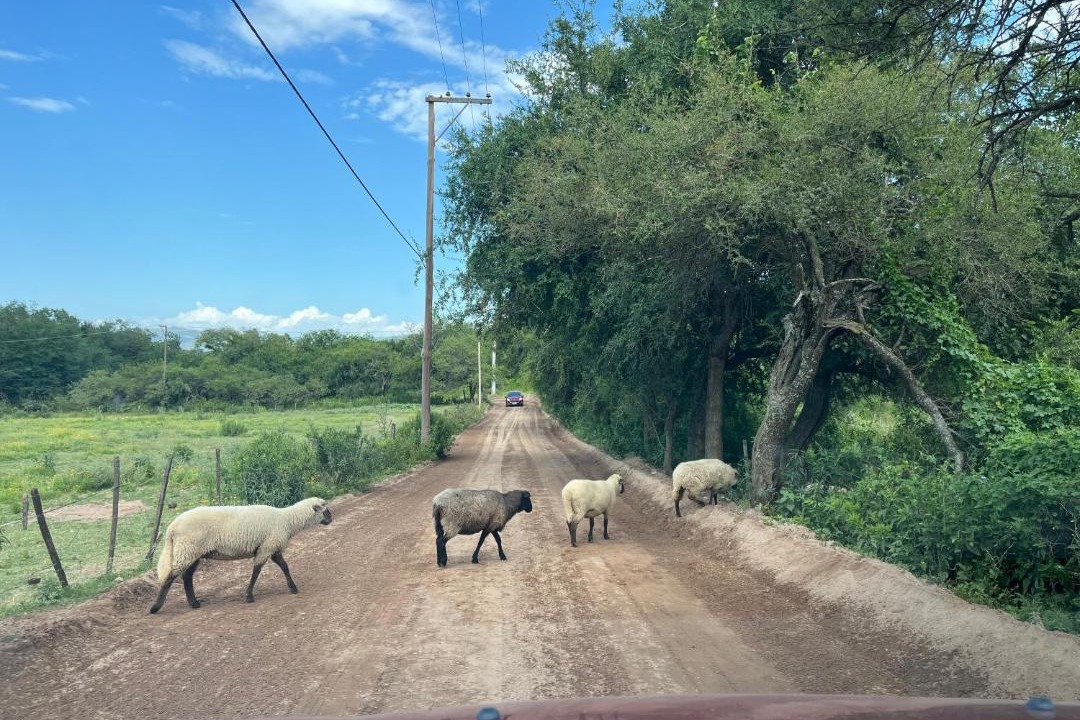 Photo of Others in Rio Ceballos