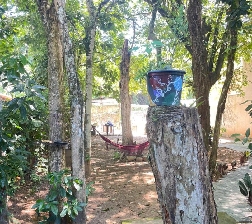 Photo of Others in Cocaia