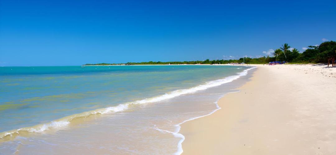 Photo of Others in Taperapua Beach