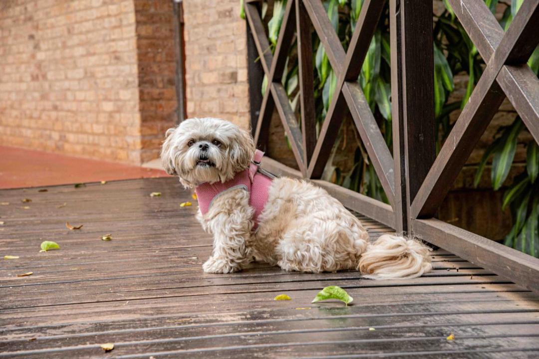 Photo of Others in Puerto Iguazu