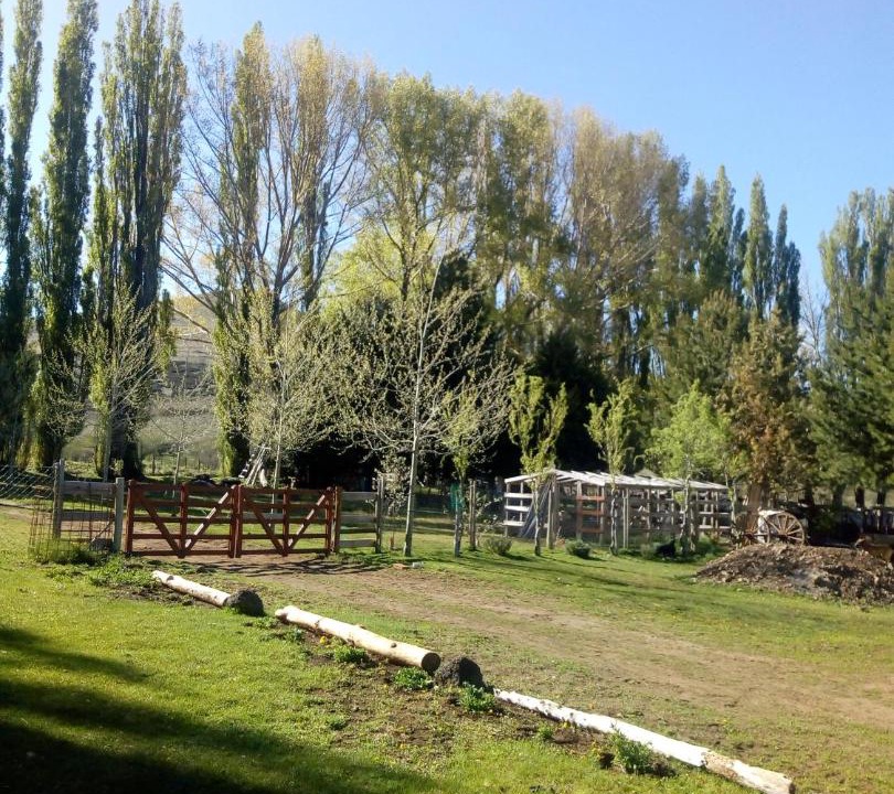 Photo of Others in Primeros Pinos