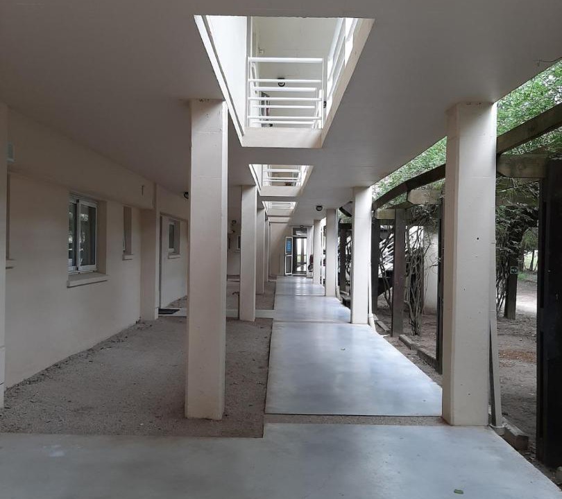 Photo of Others in Carilo