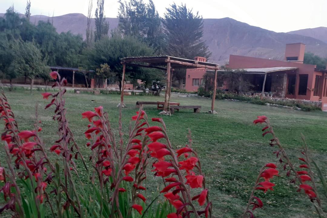 Photo of Others in Tilcara