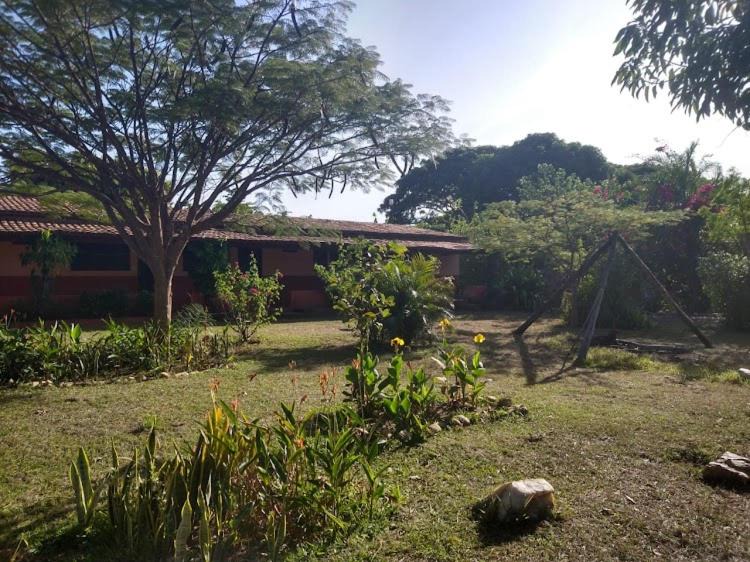 Photo of Others in Sao Domingos