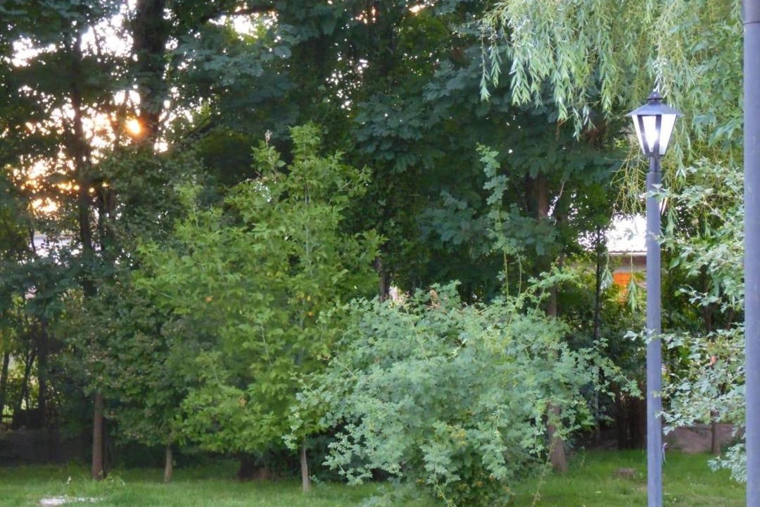 Photo of Others in Malargue