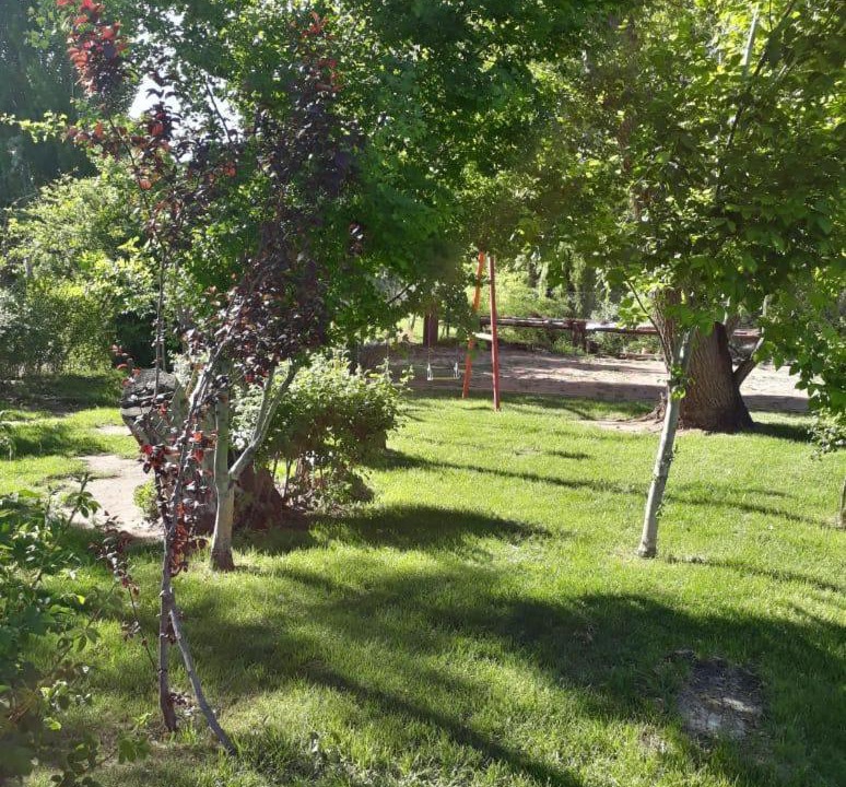 Photo of Others in Malargue