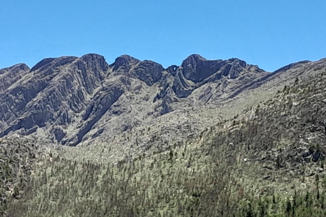 Photo of Others in Sierra de la Ventana