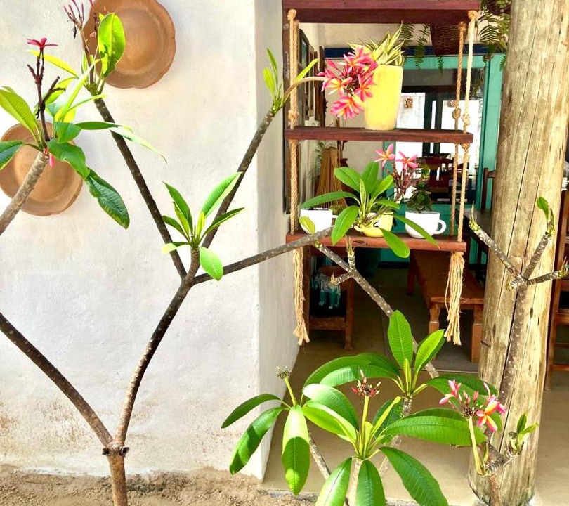 Photo of Others in Icarai de Amontada