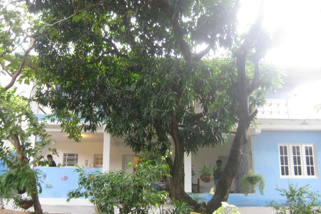 Photo of Others in Olinda