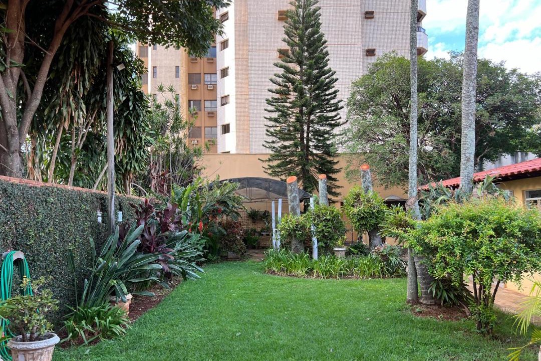 Photo of Others in Araraquara