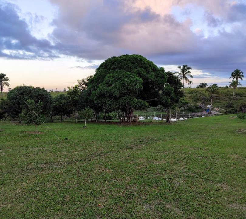 Photo of Others in Corumbau