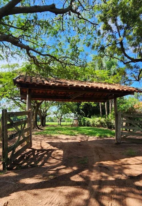 Photo of Others in Sao Jose do Rio Preto
