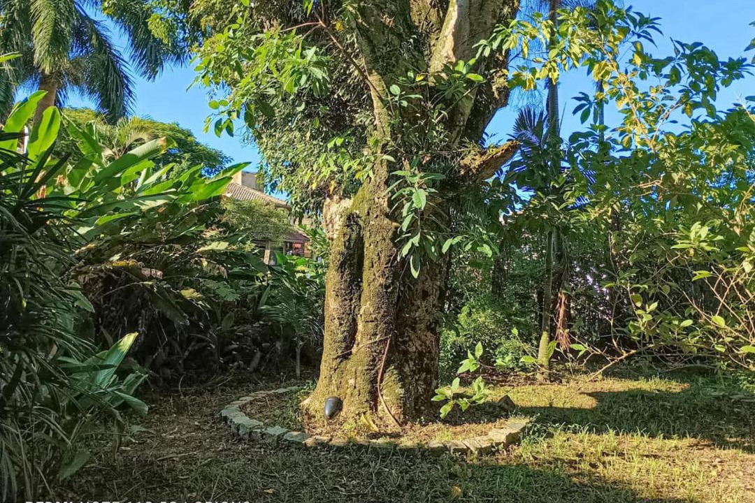 Photo of Others in Paranagua