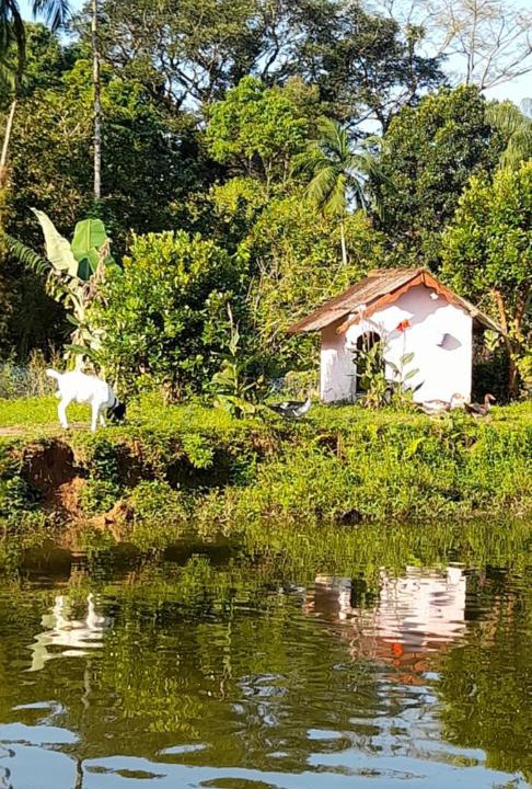 Photo of Others in Peruibe
