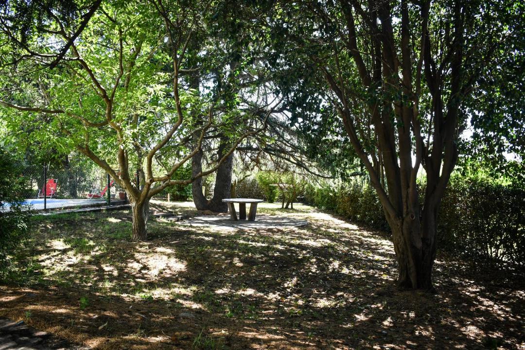 Photo of Others in Sierra de la Ventana