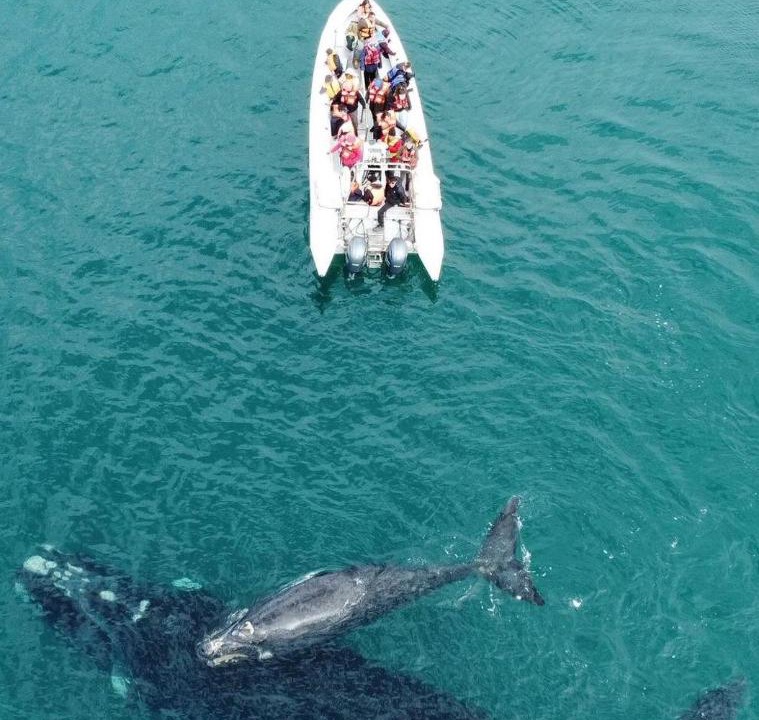 Photo of Others in Las Grutas