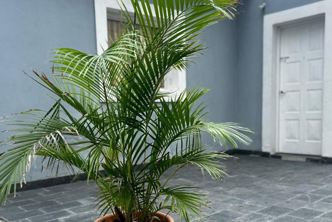 Photo of Others in Aimogasta