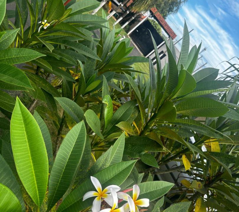 Photo of Others in Matao