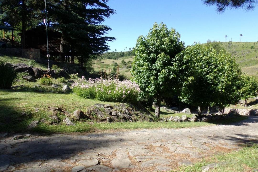 Photo of Others in Intiyaco