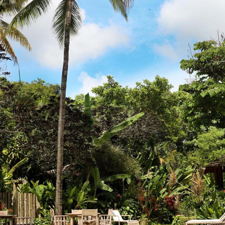 Photo of Others in Trancoso