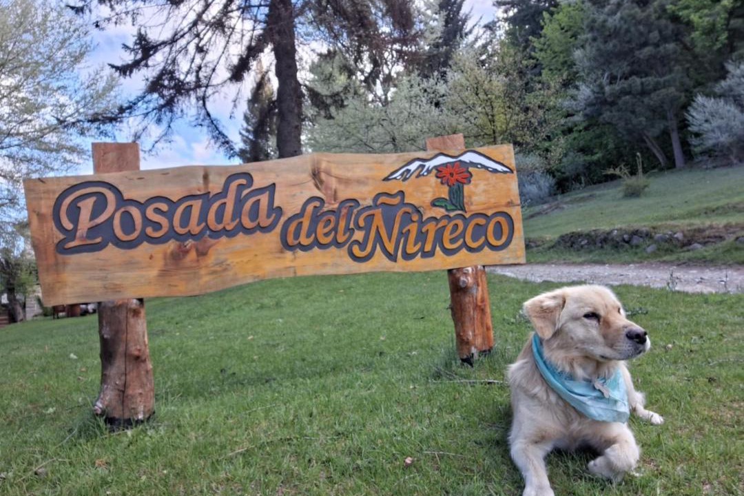 Photo of Outdoor in San Carlos de Bariloche