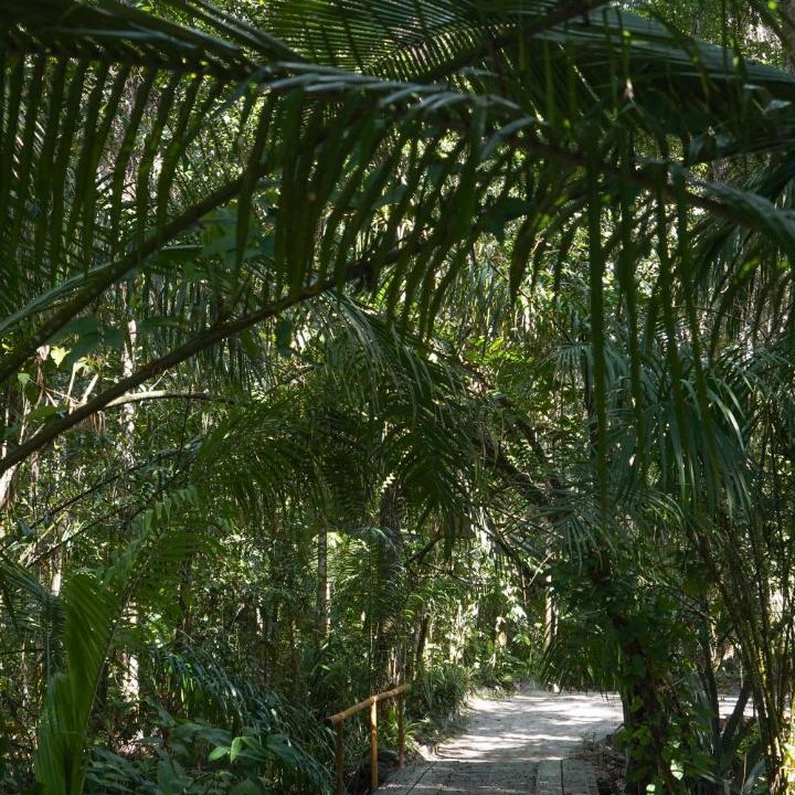 Photo of Others in Serra Grande