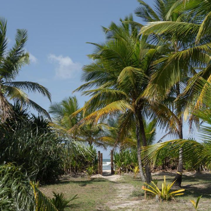 Photo of Others in Serra Grande