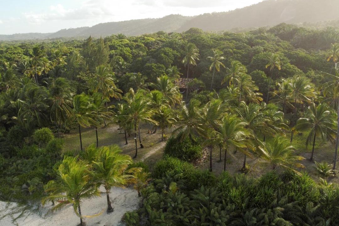 Photo of Others in Serra Grande