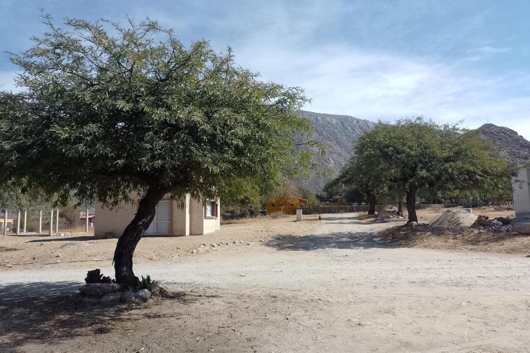 Photo of Others in Cafayate