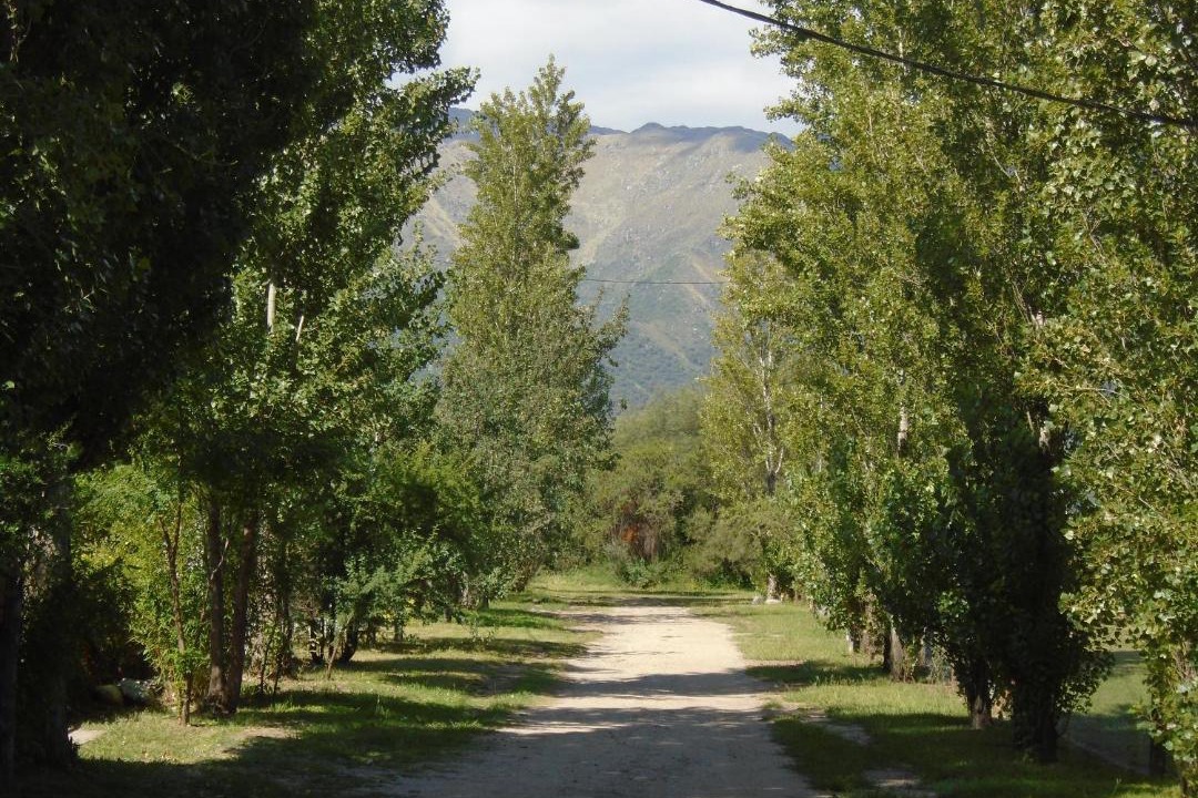 Photo of Others in Los Molles