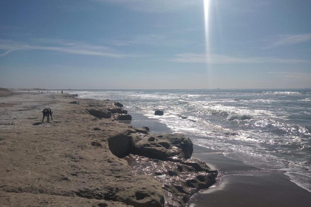 Photo of Others in Las Grutas