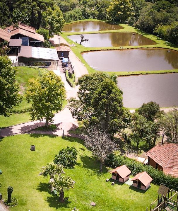 Photo of Others in Tijucas do Sul