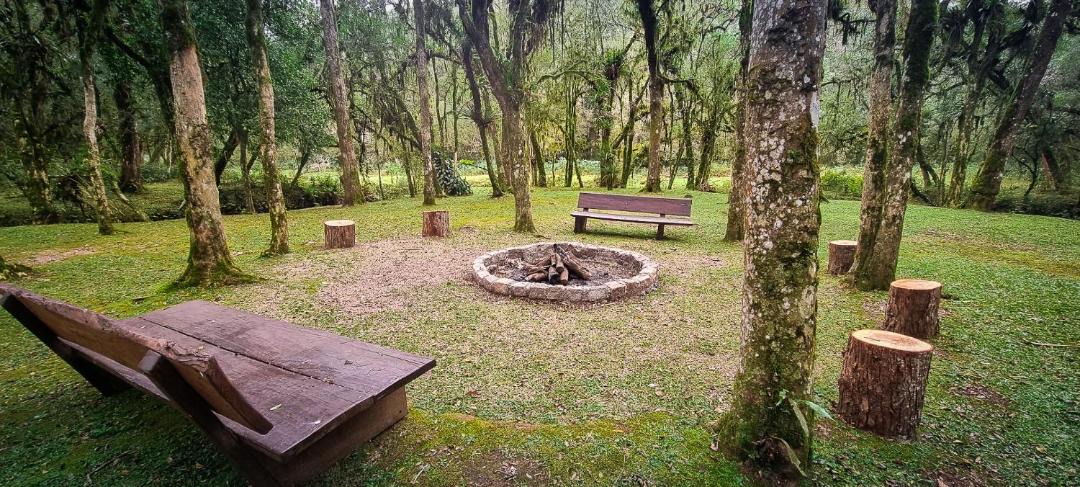 Photo of Others in Tijucas do Sul