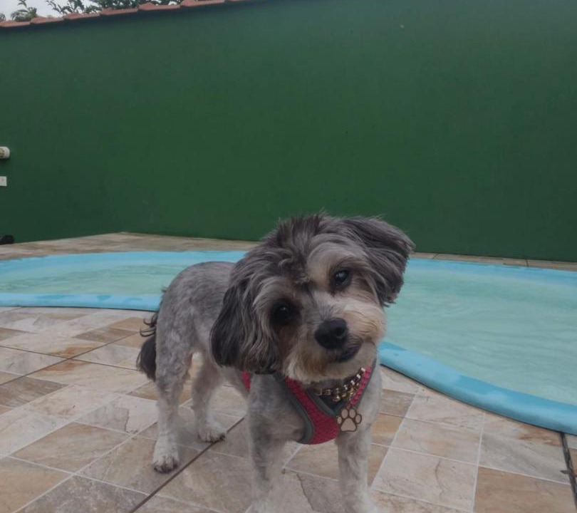 Photo of Others in Campos Eliseos