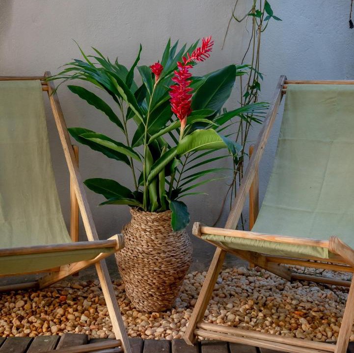 Photo of Others in Trancoso