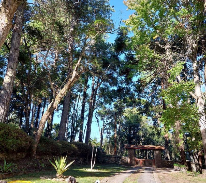 Photo of Outdoor in Alto da Boa Vista