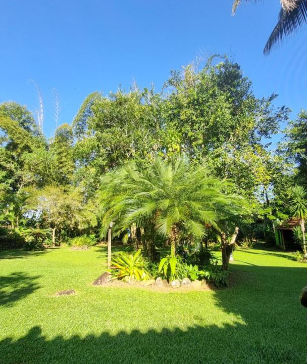 Photo of Outdoor in Felix