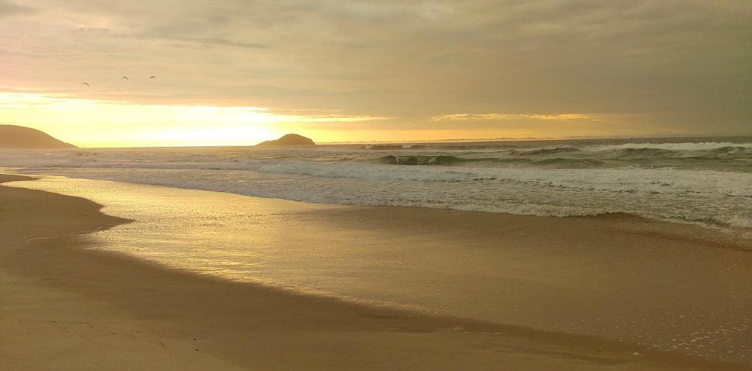 Photo of Others in Sao Joao do Rio Vermelho