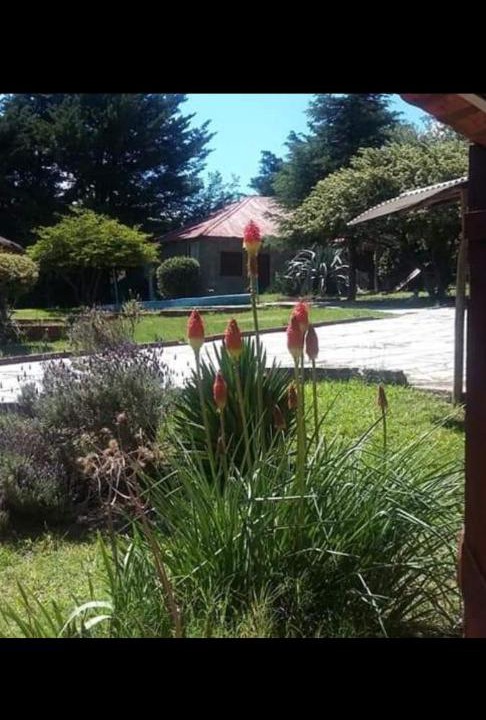 Photo of Others in Villa Giardino
