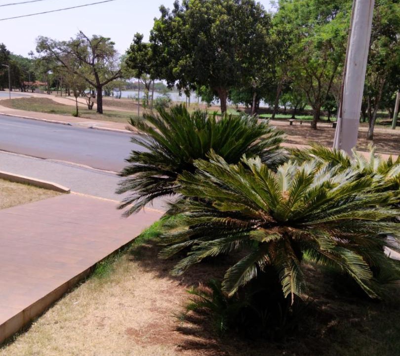 Photo of Others in Guaira