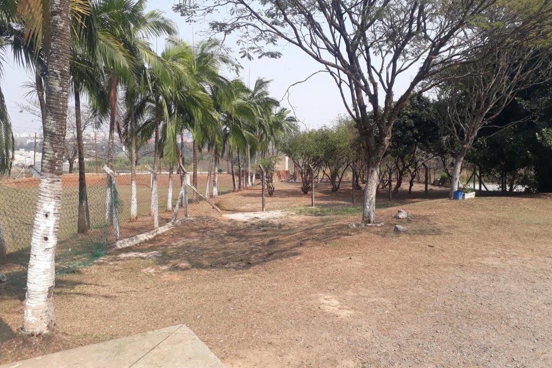 Photo of Others in Limeira