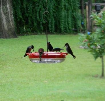 Photo of Others in Villa General Belgrano
