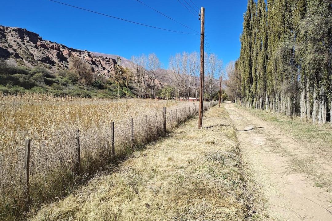 Photo of Others in Humahuaca