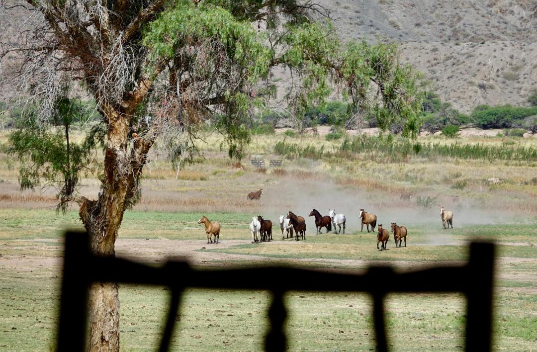 Photo of Others in Molinos