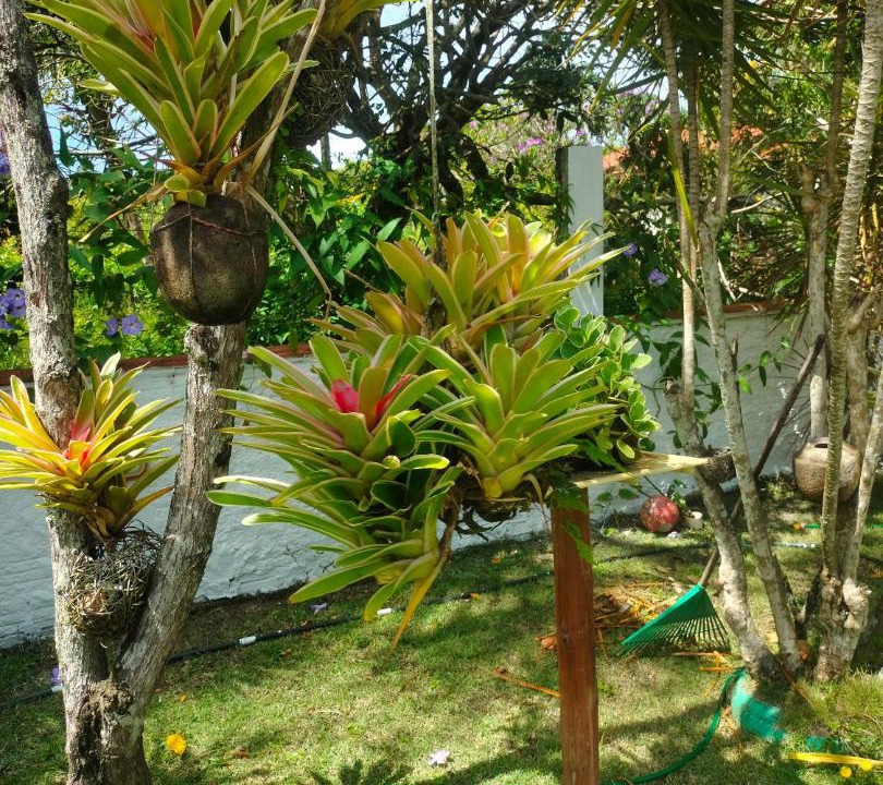 Photo of Others in Serra Grande