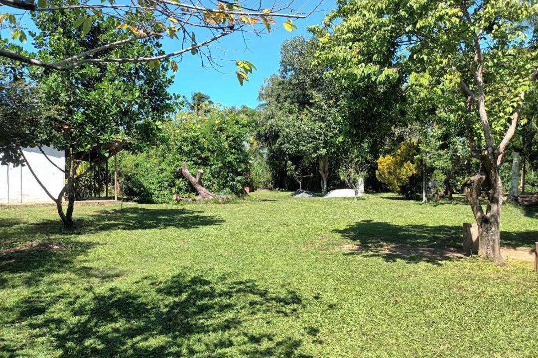 Photo of Outdoor in Diogo
