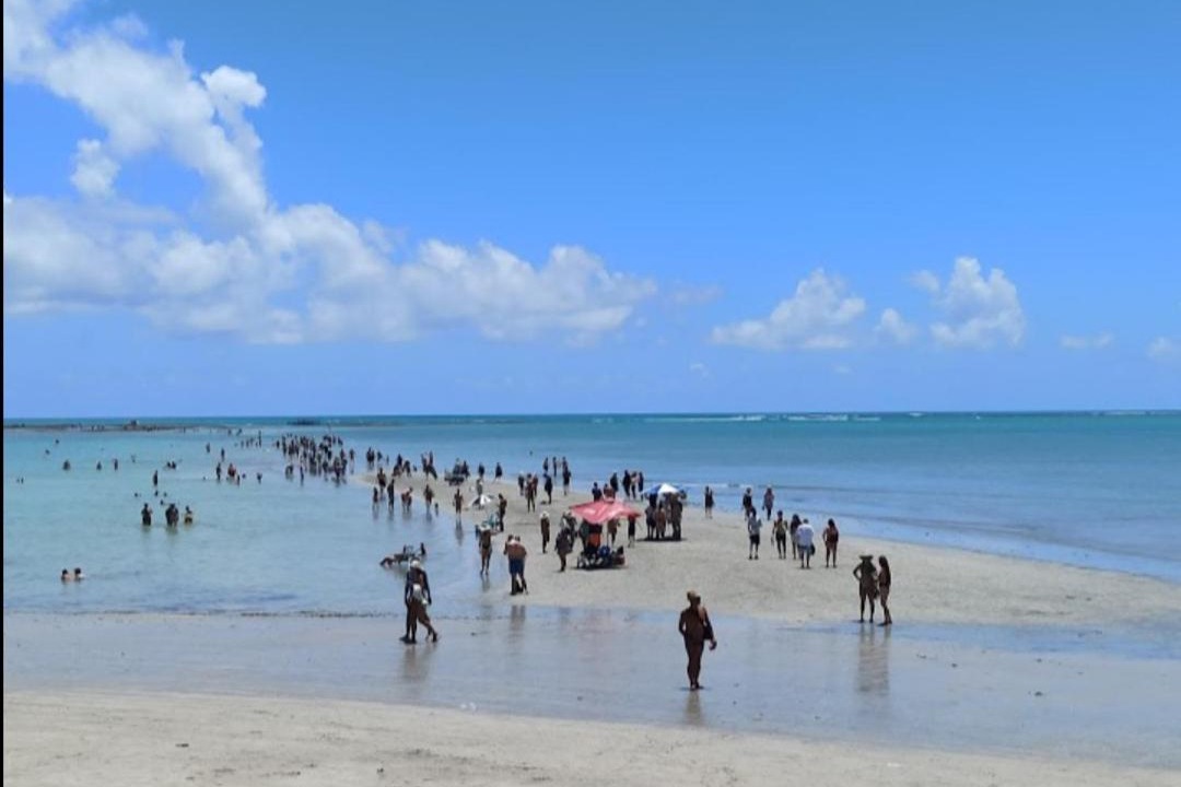 Photo of Others in Ponta da Terra