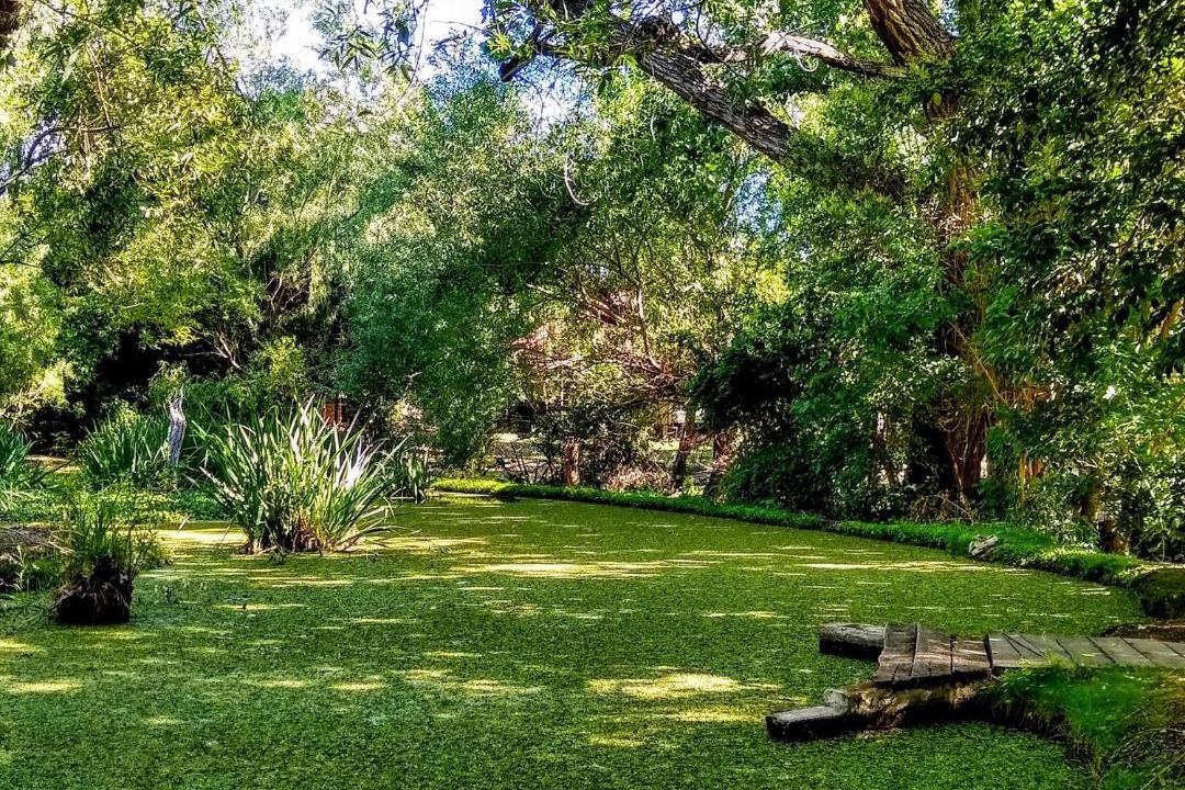 Photo of Outdoor in El Rincon