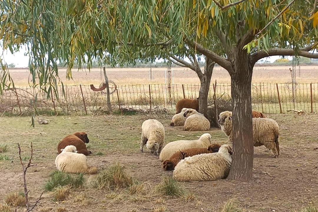 Photo of Others in Alvarez