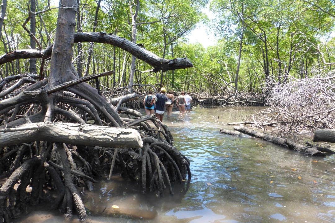 Photo of Others in Ilha de Boipeba
